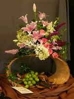 Foto: Dr. Jörg M. Giffei